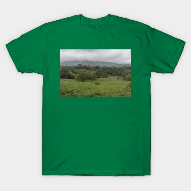 Scenic inner Kauai rural scene, Hawaii T-Shirt by AlexK
